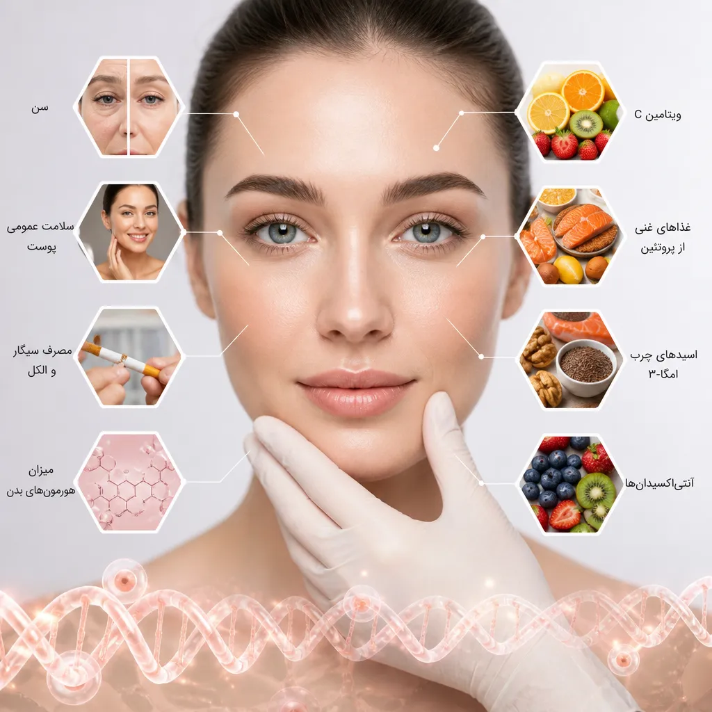نقش عوامل مختلف در فرآیند کلاژنسازی